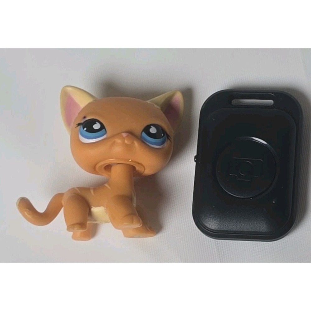 LPS No # Puzzle Shorthair Cat Blue Sportiest Eyes Littlest Pet Shop Hasbro 2006 - Picture 10 of 10